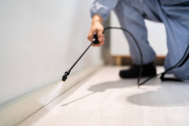 Licensed Mosquito Control service in West Park, FL - Show Me Pest Control