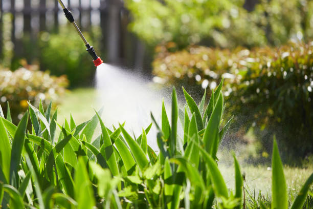 24/7 Emergency Mosquito Control experts in West Park, FL