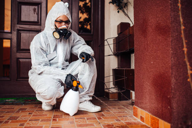 Reliable Mosquito Control contractor in West Park, FL by Show Me Pest Control