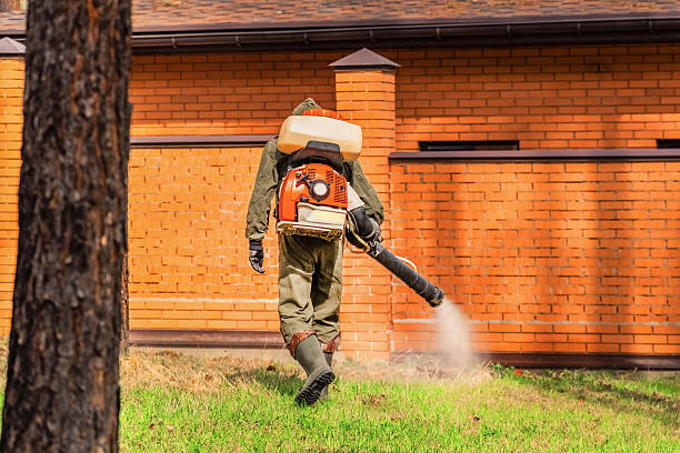 Top rated local Mosquito Control specialists in West Park, FL